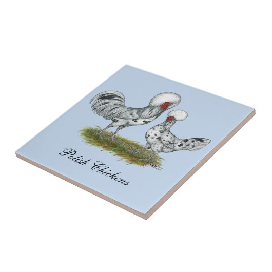 Polnische Spritzen-Hühner Fliese (Seite)