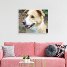 Polnischer Hund an der Leine Leinwanddruck