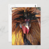 Polnischer Roo Postkarte (Vorne/Hinten)