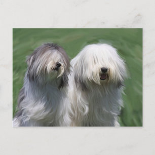 Polnischer Tiefland Postkarte