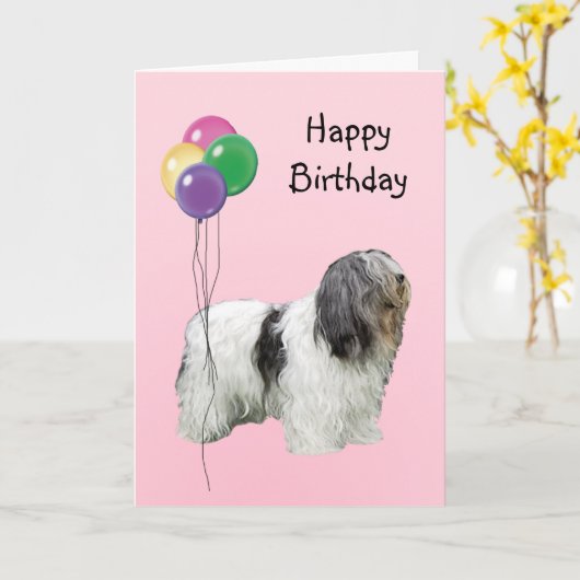 Polnischer Tiefland-Schäferhund, Karte (Gelbe Blume)