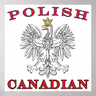 Polnischer Weißadler Poster