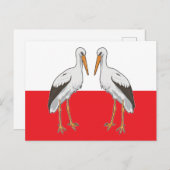 Polnischer Weißstorch Postkarte (Vorne/Hinten)
