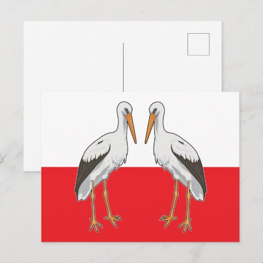 Polnischer Weißstorch Postkarte (Vorne/Hinten)