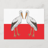 Polnischer Weißstorch Postkarte (Vorderseite)