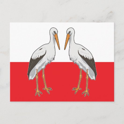 Polnischer Weißstorch Postkarte (Vorderseite)