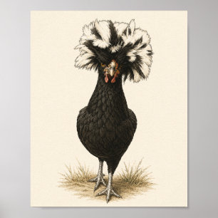 Polnisches Huhn Hühner Kunstposter, Vintage Farmho Poster