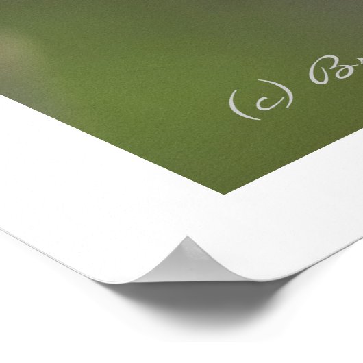 Polnisches Hühnchen Poster (Ecke)