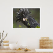 Polnisches Hühnchen Poster (Küche)