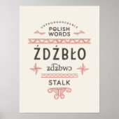 Polnisches Wörterbuch Poster (Vorne)