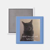 Polo die Katze Warum sprichst du noch? Magnet (Vorderseite/Rückseite)