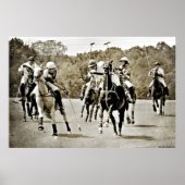 Polo Horses Galloping Poster (Vorne)