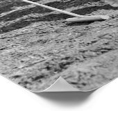 Polo Ladys: 1925 Poster (Ecke)