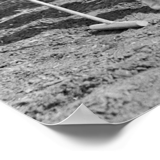 Polo Ladys: 1925 Poster (Ecke)