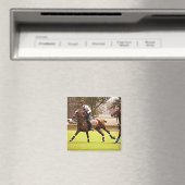 Polo Pony Magnet (In Situ (Geschirrspüler))