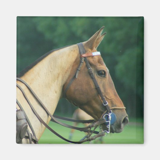 Polo Pony Magnet (Vorne)