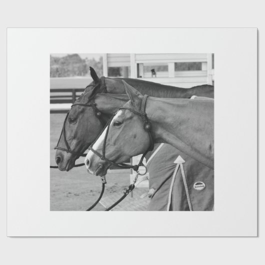 Polo Pony Packpapier (Flach)