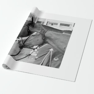 Polo Pony Packpapier