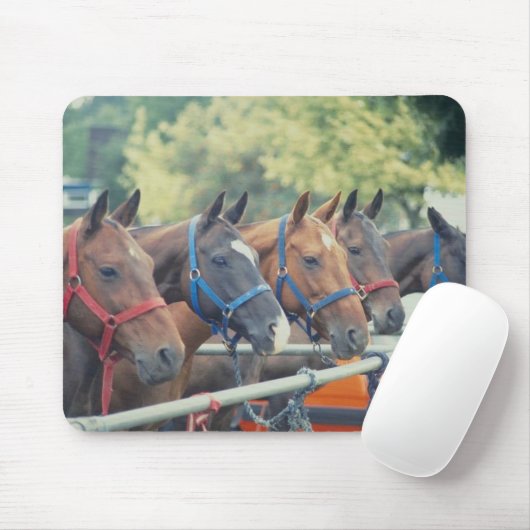 Polo Pony String Mousepad (Mit Mouse)