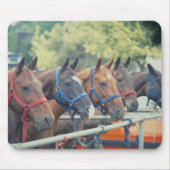 Polo Pony String Mousepad (Vorne)