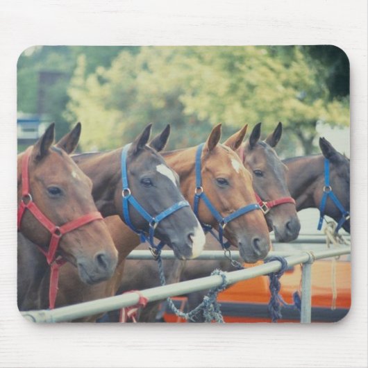 Polo Pony String Mousepad (Vorne)