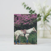 Polo Pony wartet Chukker Postkarte (Stehend Vorderseite)