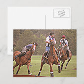 Polo Post Card Postkarte (Vorne/Hinten)