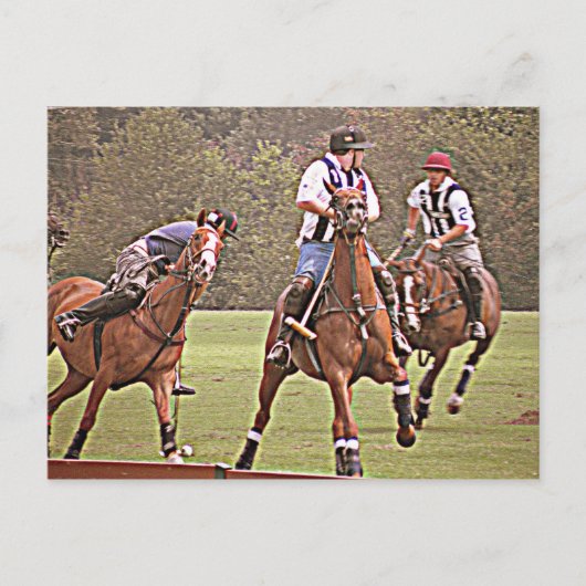 Polo Post Card Postkarte (Vorderseite)