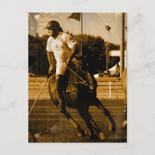 Polo Postcard Postkarte (Vorderseite)