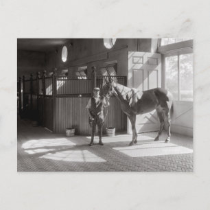 Polo-Ställe, 1933 Postkarte