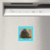 Polo the cat Fluff Off magnet (In Situ (Geschirrspüler))