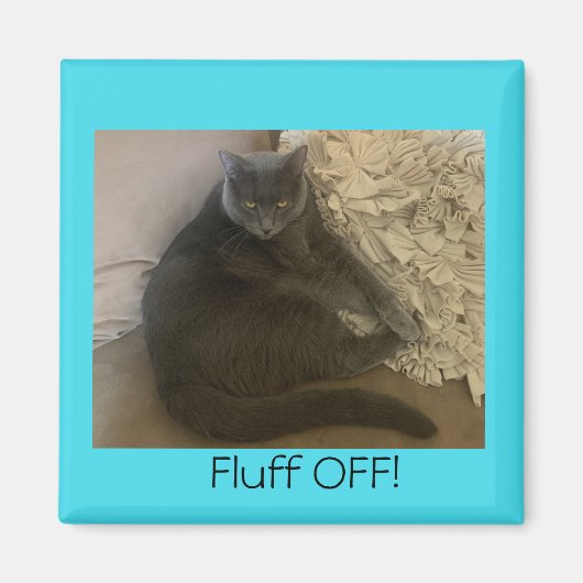 Polo the cat Fluff Off magnet (Vorne)