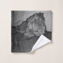 Polorys Hund (Schwarzweiss)