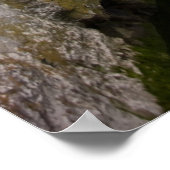 Polperro, Cornwall Poster (Ecke)