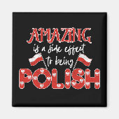 Polska Phantastisch ist eine Nebenwirkung, die Pol Magnet (Vorne)