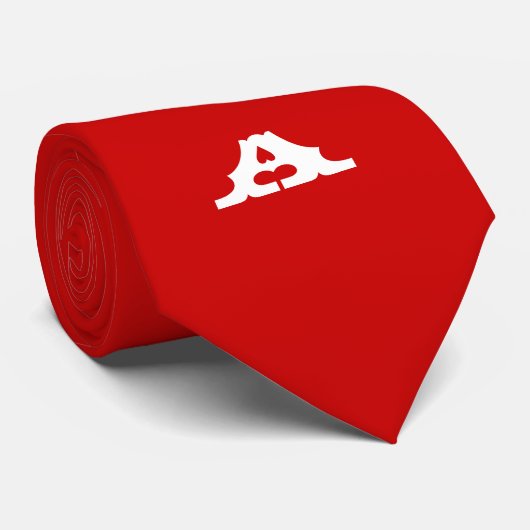 Polska Pride Polska Krawatte (Gerollt)