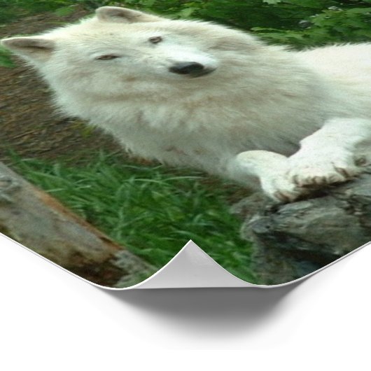 Polster Wolf Print Poster (Ecke)