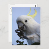 Polsterkarte Postkarte (Vorne/Hinten)