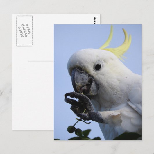 Polsterkarte Postkarte (Vorne/Hinten)