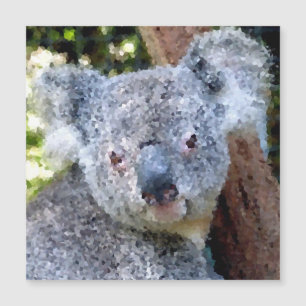 Poly Animals - Koala Magnetkarte