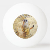 Poly Animals - Meerkat Tischtennisball (Rückseite)