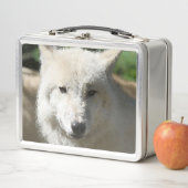 Poly Animals - Wolf Metall Lunch Box (Beispiel)