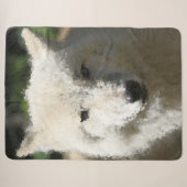 Poly Animals - Wolf Sherpadecke (Vorderseite (Horizontal))