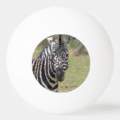 Poly Animals - Zebra Tischtennisball (Vorderseite)