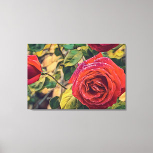 POLY ART of a Rose on Stretching Leinwand print