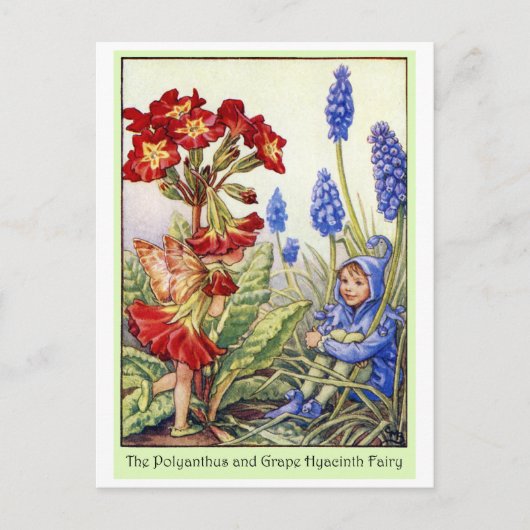 Polyanthus and Grape Hyacinth Fairy Postkarte (Vorderseite)