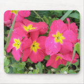 Polyanthus Mousepad (Vorne)
