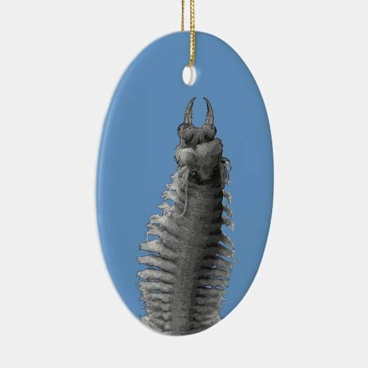 Polychaete-Wurm-Weihnachtsverzierung Keramikornament (Rechts)