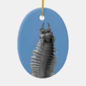 Polychaete-Wurm-Weihnachtsverzierung Keramikornament (Vorne)