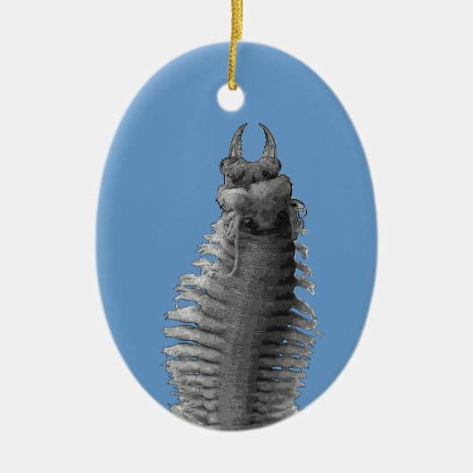 Polychaete-Wurm-Weihnachtsverzierung Keramikornament (Vorne)